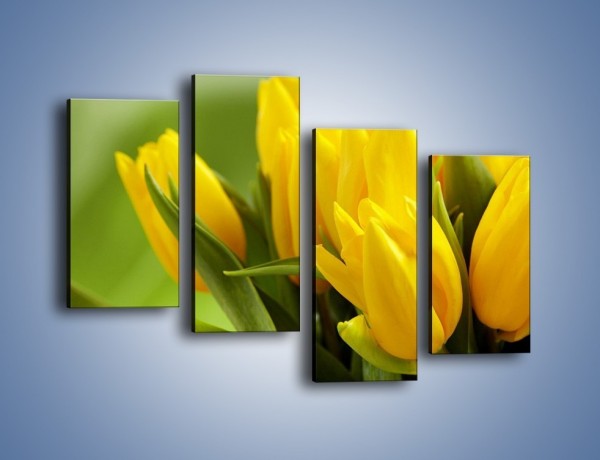 Obraz na płótnie – Słońce schowane w tulipanach – czteroczęściowy K424W2