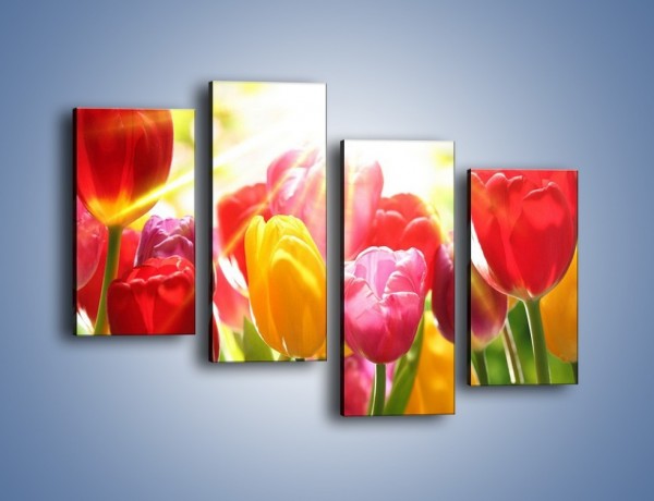 Obraz na płótnie – Bajecznie słoneczne tulipany – czteroczęściowy K428W2