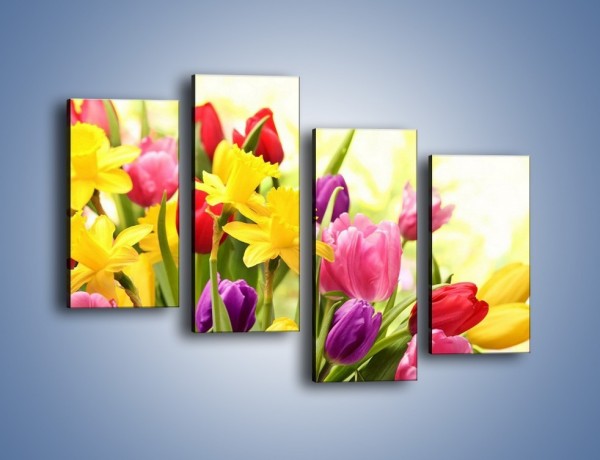 Obraz na płótnie – Żonkile wśród tulipanów – czteroczęściowy K430W2