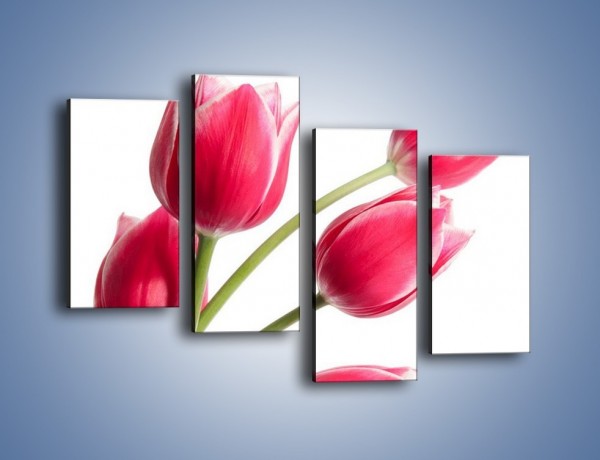 Obraz na płótnie – Pięć razy tulipany – czteroczęściowy K551W2