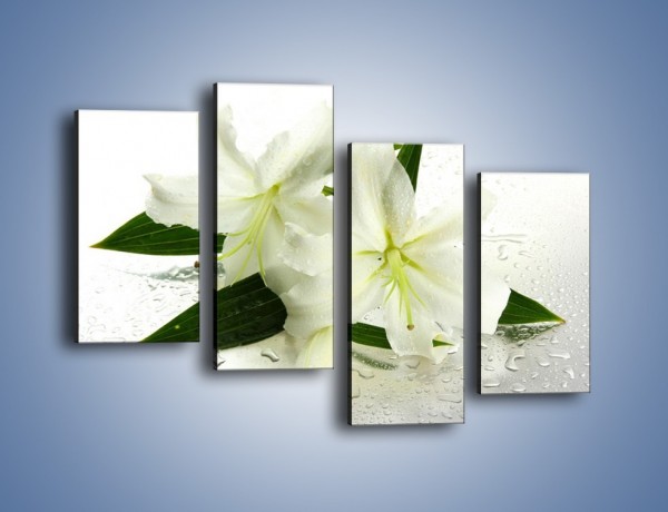 Obraz na płótnie – Niewinność białej lilii – czteroczęściowy K632W2