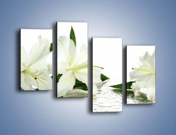 Obraz na płótnie – Czysta biel kwiatów – czteroczęściowy K633W2