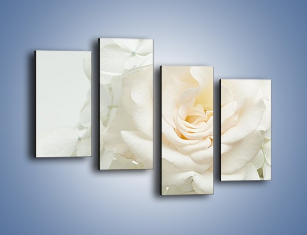 Obraz na płótnie – Czysta biel kwiatów – czteroczęściowy K712W2