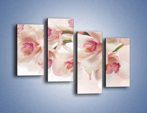 Obraz na płótnie – Szlachetne różowe storczyki – czteroczęściowy K756W2