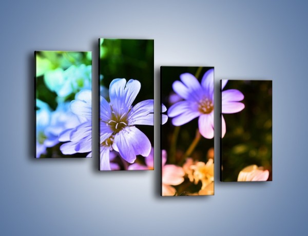 Obraz na płótnie – Niebieskie główki kwiatuszków – czteroczęściowy K769W2
