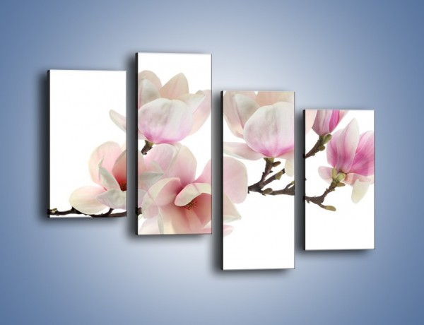 Obraz na płótnie – Zerwana gałązka magnolii – czteroczęściowy K780W2