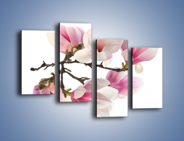 Obraz na płótnie – Wirujące kwiaty magnolii – czteroczęściowy K781W2
