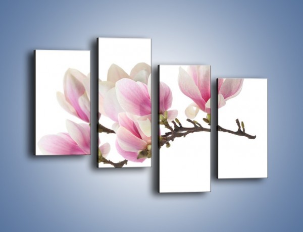 Obraz na płótnie – Rzut na gałąź magnolii – czteroczęściowy K782W2