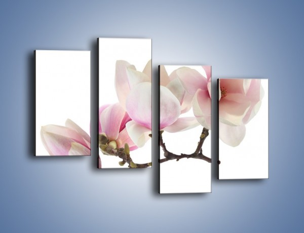 Obraz na płótnie – Obcięte gałązki białych różowych kwiatów – czteroczęściowy K783W2