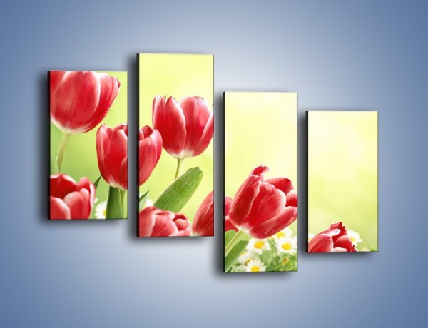 Obraz na płótnie – Polne tulipany i stokrotki – czteroczęściowy K789W2
