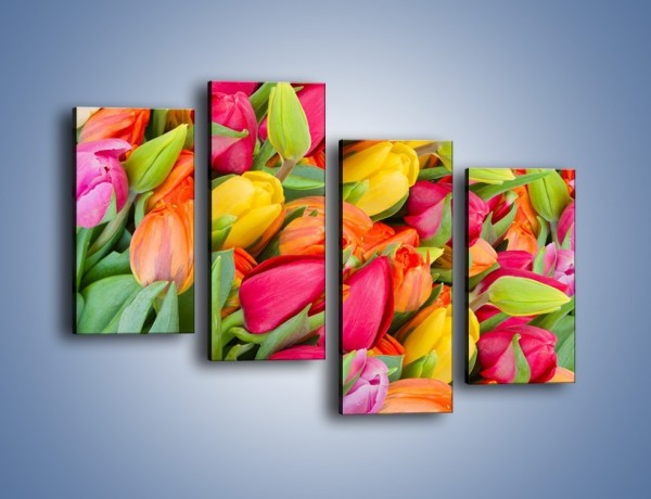 Obraz na płótnie – Ścięte pole tulipanów – czteroczęściowy K803W2