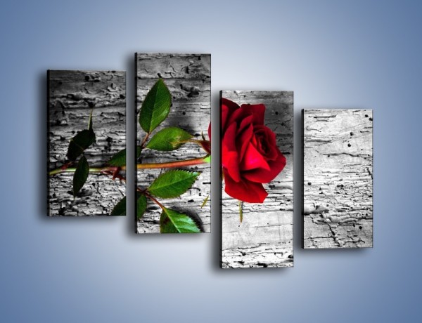 Obraz na płótnie – Róża na surowym tle – czteroczęściowy K843W2