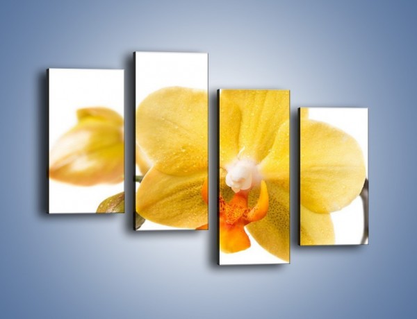 Obraz na płótnie – Kwiat jak soczysta pomarańcza – czteroczęściowy K851W2