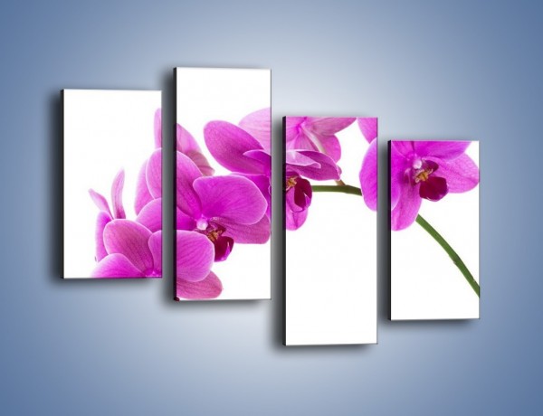 Obraz na płótnie – Kwiaty w lewą stronę – czteroczęściowy K853W2