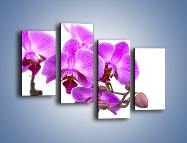 Obraz na płótnie – Samotne kwiaty bez dodatków – czteroczęściowy K870W2