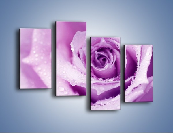 Obraz na płótnie – Jasny fiolet w róży – czteroczęściowy K894W2