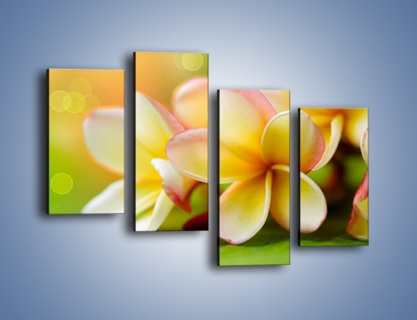 Obraz na płótnie – Kwiaty jak marcepanowe wypieki – czteroczęściowy K898W2