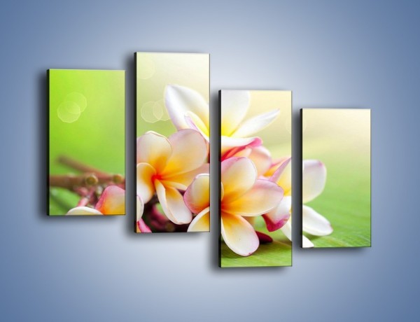 Obraz na płótnie – Nowa odmiana magnolii – czteroczęściowy K899W2