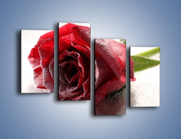 Obraz na płótnie – Zimne podłoże i czerwona róża – czteroczęściowy K933W2