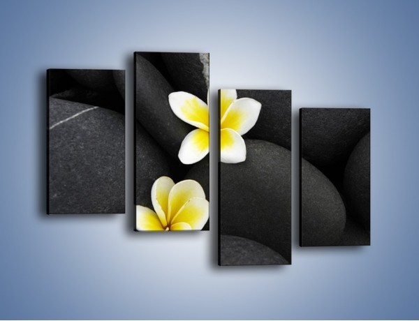 Obraz na płótnie – Kwiaty wrzucone w kamienne szczeliny – czteroczęściowy K934W2