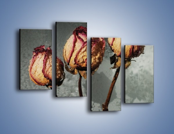 Obraz na płótnie – Ususzone zmoczone róże – czteroczęściowy K944W2