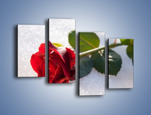 Obraz na płótnie – Gorąca róża na zmrożonej tafli – czteroczęściowy K946W2