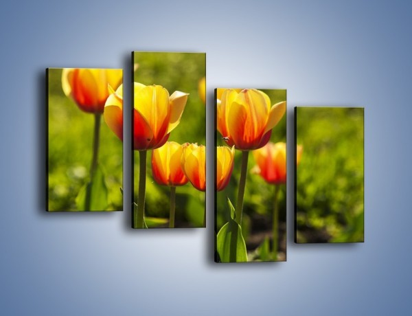 Obraz na płótnie – Pomarańczowe kwiaty i zieleń – czteroczęściowy K952W2