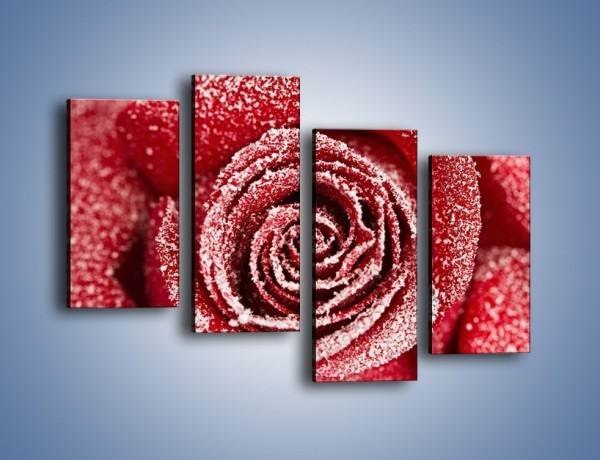 Obraz na płótnie – Szron na różanych płatkach – czteroczęściowy K958W2