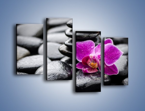Obraz na płótnie – Malutki kwiatek i morze kamieni – czteroczęściowy K983W2