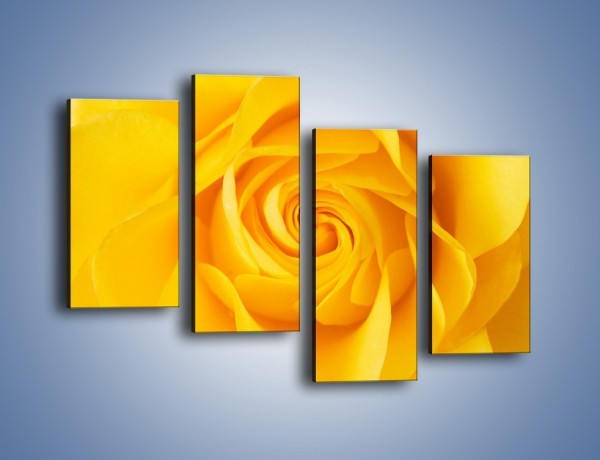 Obraz na płótnie – Moc żółtej róży – czteroczęściowy K989W2