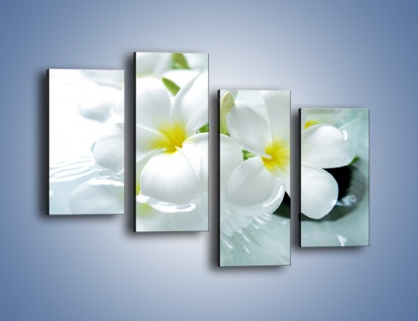 Obraz na płótnie – Białe kwiaty w potoku – czteroczęściowy K991W2