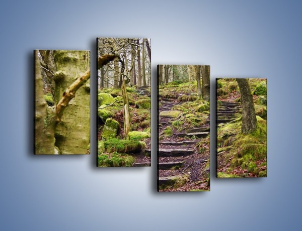 Obraz na płótnie – Schodkami przez las – czteroczęściowy KN1054W2