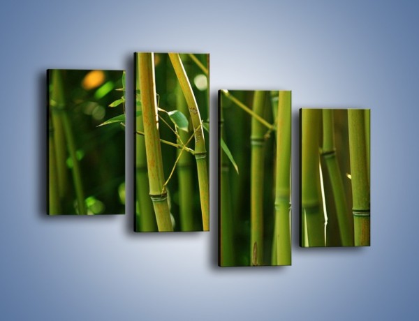 Obraz na płótnie – Bambusowe łodygi z bliska – czteroczęściowy KN118W2