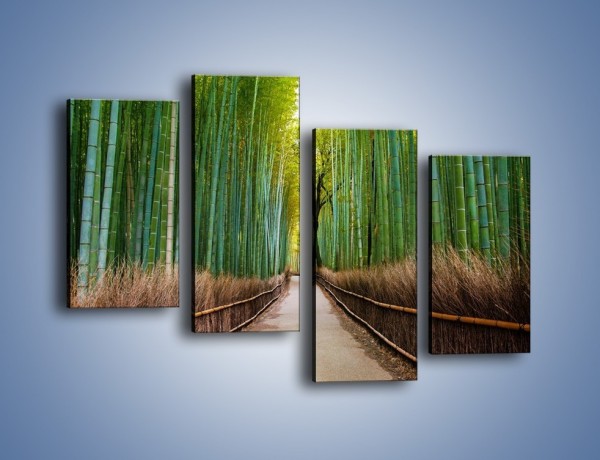 Obraz na płótnie – Bambusowy las – czteroczęściowy KN1187AW2