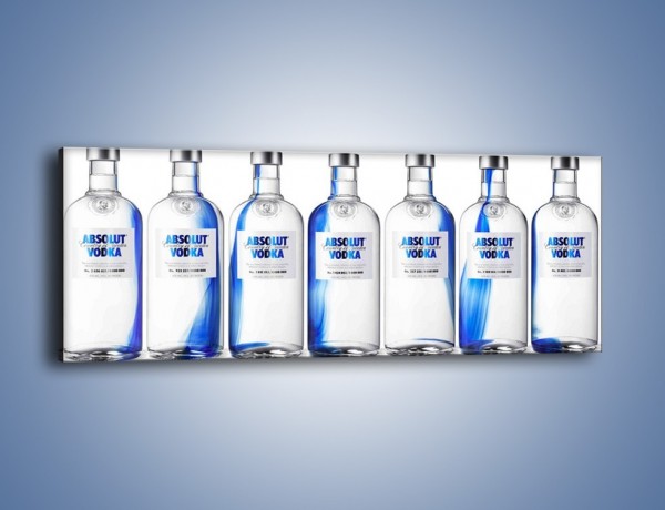 Obraz na płótnie – Czysta wódka w butelkach – jednoczęściowy panoramiczny JN748