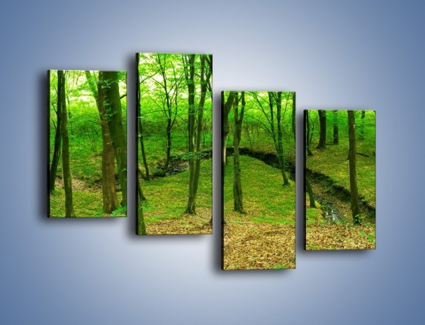 Obraz na płótnie – Wąskie spojrzenie na las – czteroczęściowy KN1264AW2