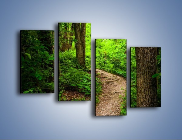 Obraz na płótnie – Wąską ścieżką leśną – czteroczęściowy KN1296AW2