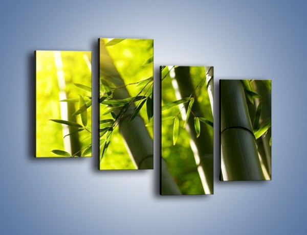 Obraz na płótnie – Twarde łodygi bambusa – czteroczęściowy KN1314AW2