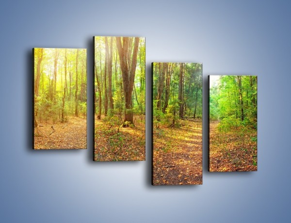 Obraz na płótnie – Przejrzysty piękny las – czteroczęściowy KN1344AW2