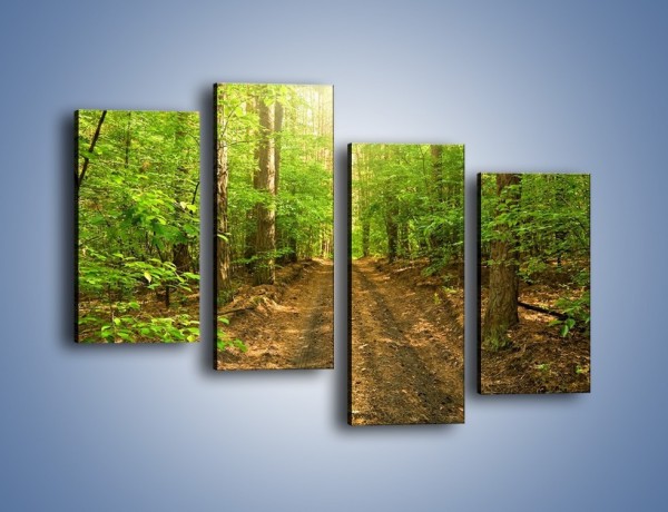 Obraz na płótnie – Leśną drogą jak z filmu – czteroczęściowy KN324W2