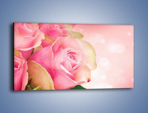 Obraz na płótnie – Różowa róża w świetle – jednoczęściowy panoramiczny K001