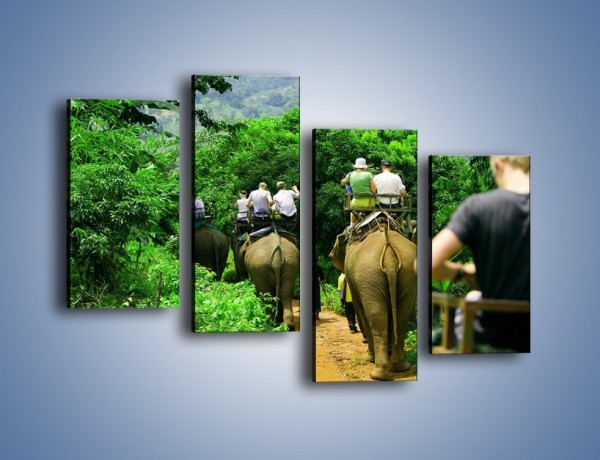 Obraz na płótnie – Podróż na słoniu – czteroczęściowy KN414W2