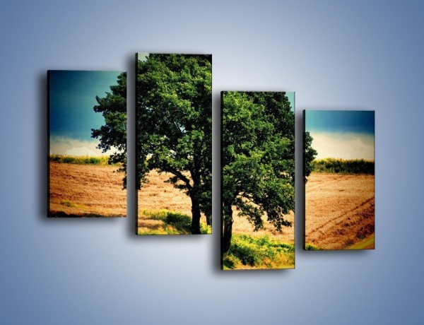 Obraz na płótnie – Para zaprzyjaźnionych drzew – czteroczęściowy KN571W2
