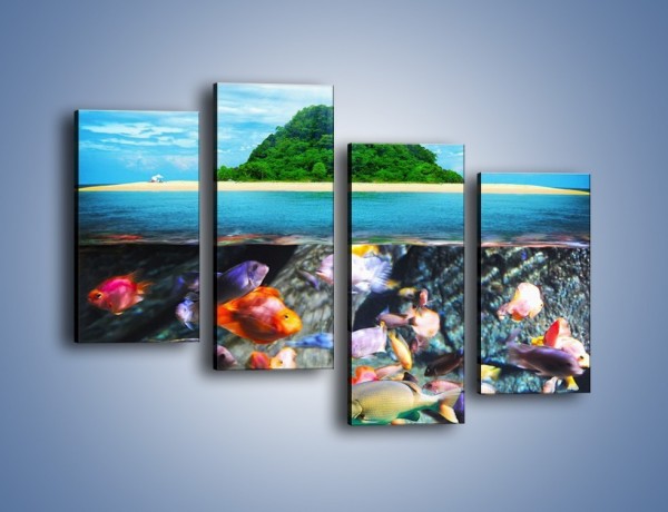 Obraz na płótnie – Kolorowy świat ryb – czteroczęściowy KN906W2