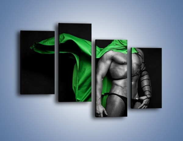 Obraz na płótnie – Zielony ninja – czteroczęściowy L245W2