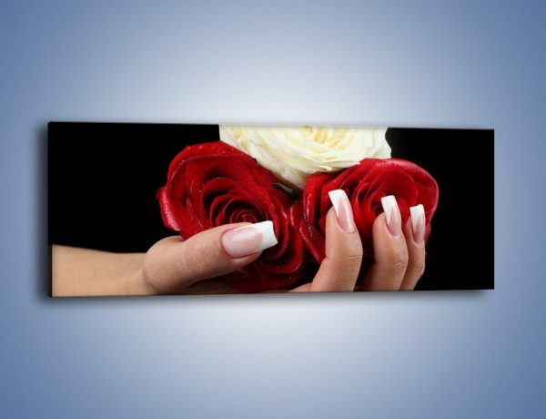 Obraz na płótnie – Pełna garść główek róż – jednoczęściowy panoramiczny K025