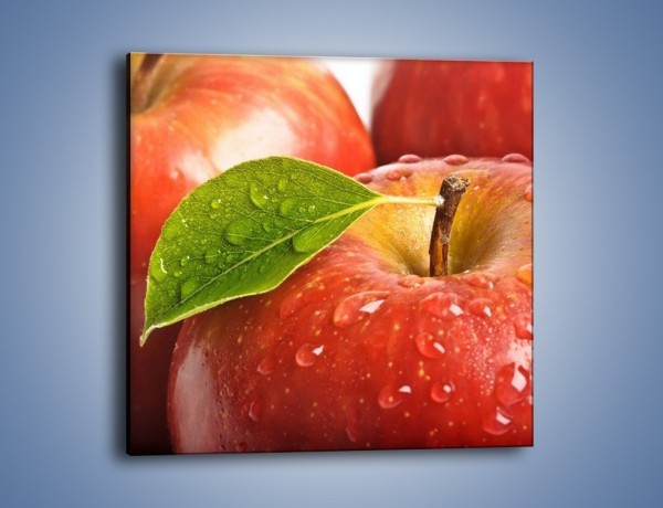 Obraz na płótnie – Jabłka prosto z drzewa – jednoczęściowy kwadratowy JN302