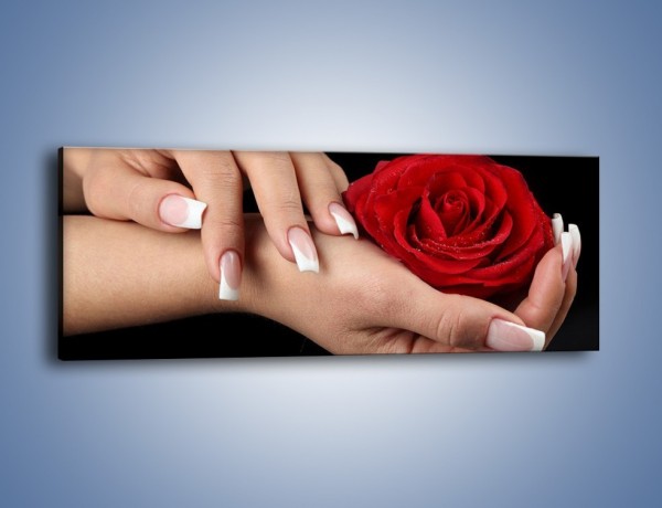 Obraz na płótnie – Czerwona róża w dłoni – jednoczęściowy panoramiczny K037