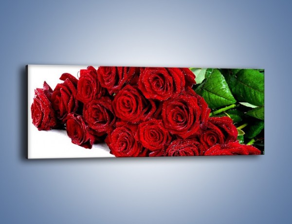 Obraz na płótnie – Oszronione czerwone róże – jednoczęściowy panoramiczny K047