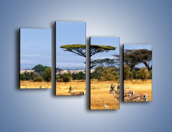 Obraz na płótnie – Antylopy w słonecznej afryce – czteroczęściowy Z003W2